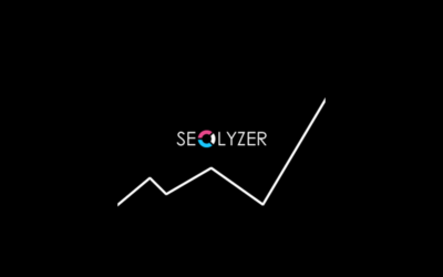 Seolyzer – L&rsquo;outil gratuit d&rsquo;analyse de logs